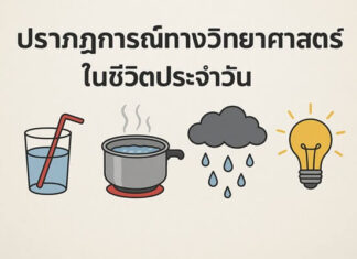 พลังธรรมชาติและวิทยาศาสตร์: คำตอบเบื้องลึกของโลกเล็ก ๆ ของเรา ปรากฏการณ์ทางวิทยาศาสตร์ ในชีวิตประจำวันที่หลายคนสงสัย