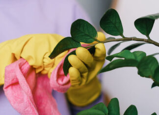 Karcher vs. Bosch: ศึกชี้ขาดเครื่องฉีดน้ำแรงดันสูง ใครคือที่สุดแห่งความทนทานและการใช้งานจริง Karcher vs. Bosch: ศึกชี้ขาดเครื่องฉีดน้ำแรงดันสูง ใครคือที่สุดแห่งความทนทานและการใช้งานจริง