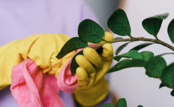 Karcher vs. Bosch: ศึกชี้ขาดเครื่องฉีดน้ำแรงดันสูง ใครคือที่สุดแห่งความทนทานและการใช้งานจริง Karcher vs. Bosch: ศึกชี้ขาดเครื่องฉีดน้ำแรงดันสูง ใครคือที่สุดแห่งความทนทานและการใช้งานจริง